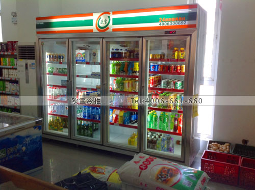 A246上海市奉賢區朗浩食品店展示冰柜