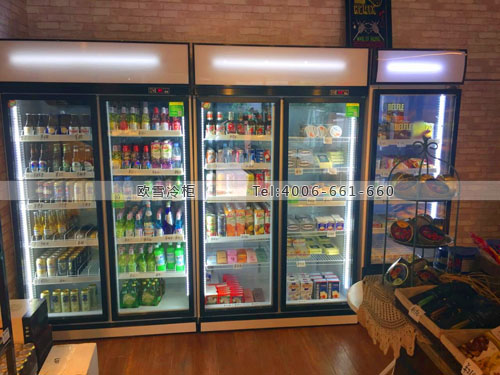A247上海市長寧區(qū)進(jìn)口精品店展示冰柜