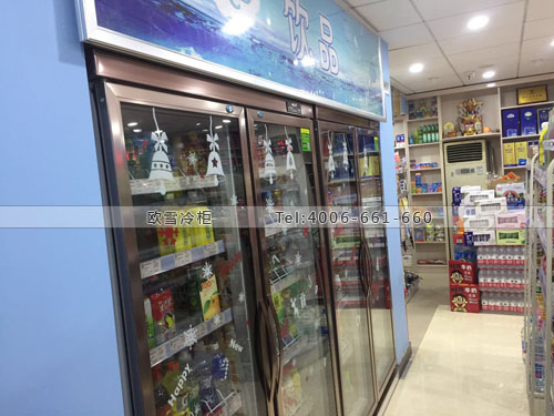 A293上海浦東新區仟佰便利飲料展示柜