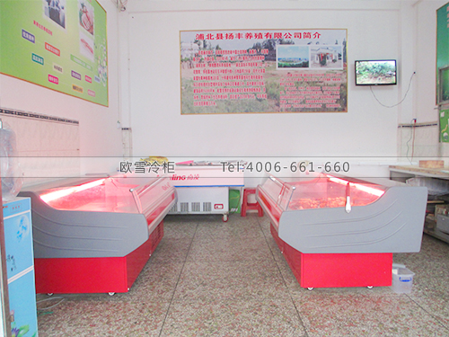 B278廣西欽州鴻發(fā)市場(chǎng)鮮肉冷柜