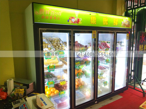 B930廣東省廣州市白云區優鮮水果店保鮮柜