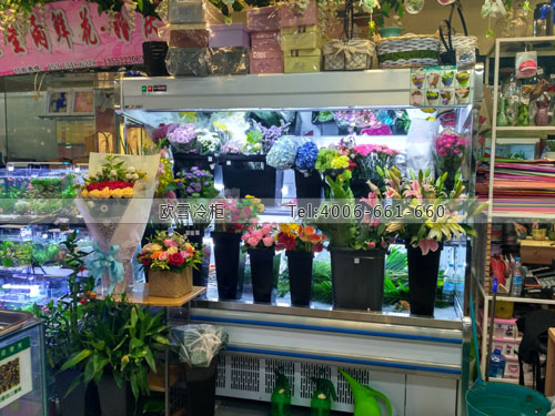 J073北京市昌平區星星雨鮮花店保鮮展示柜