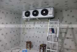 冷庫(kù)建設(shè)需要多少錢一平方？小型食品冷庫(kù)工程安裝