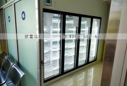 冷庫設計-福建20立方小型后補式冷藏冷庫安裝